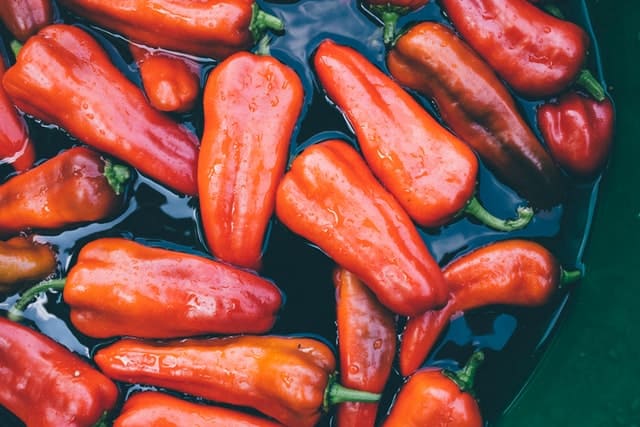 EVDE ORGANİK TARIM HAYAL Mİ GERÇEK Mİ?